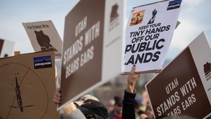 Public Trust