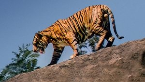 El jaguar del Amazonas