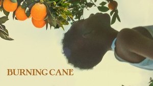 Burning Cane
