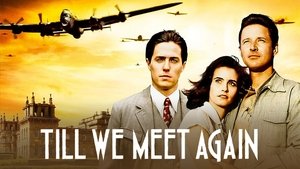 Judith Krantz's Till We Meet Again
