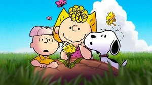 Snoopy presenta: Son las pequeñas cosas, Carlitos
