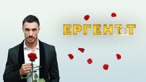 The Bachelor bTV