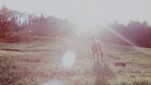 Horizons