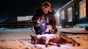 Бешенство