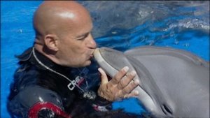 Qué le pasó al rey de los delfines
