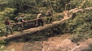 Os Heróis Trapalhões: Uma Aventura na Selva
