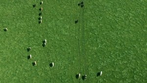 El sistema de la leche