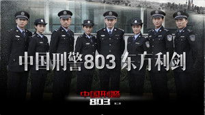 China's Criminal Police 803