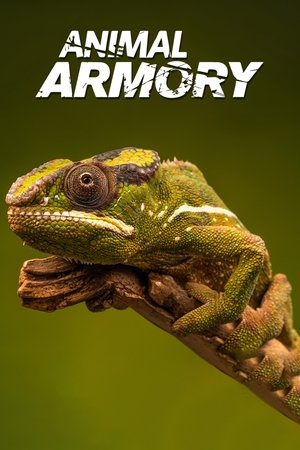 Superdefensa animal