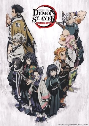 Demon Slayer: Kimetsu no Yaiba: The Hashira Meeting Arc
