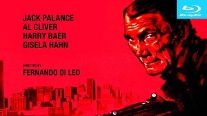 Rulers of the City