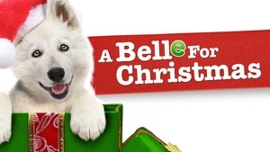 Navidad para Belle