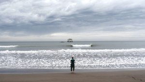Aware: Glimpses of Consciousness