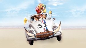 Herbie, torero