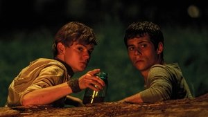 The Maze Runner