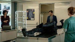 Der Kroatien-Krimi: Jagd auf einen Toten