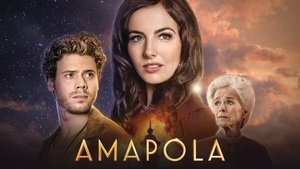 Amapola
