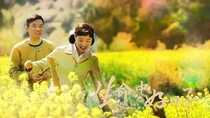 生命中的好日子