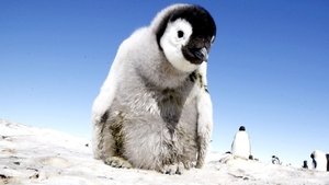 Penguins: Spy in the Huddle