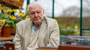 Maravillas sonoras con David Attenborough