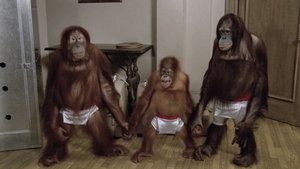 Going Ape!