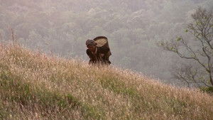 또 바람이 분다