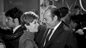 A Crazy Party Animal