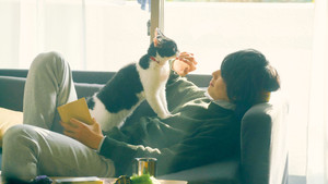 The Travelling Cat Chronicles