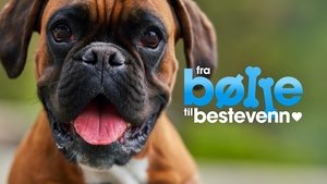 Fra bølle til bestevenn