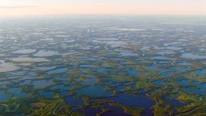 The Arctic: 66.5 Degrees North