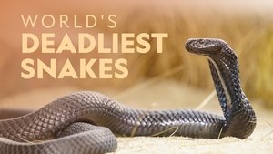 World's Deadliest Snakes