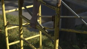 Scaffold