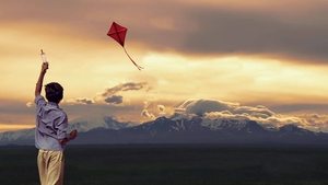 Cometas en el cielo