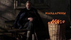 Tangerines
