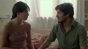 El despertar de las hormigas