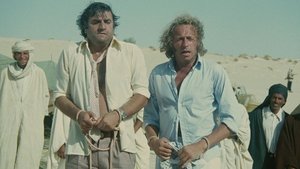 Un Dromedario en el Armario