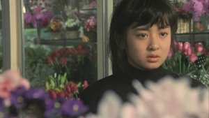 雪の断章－情熱－