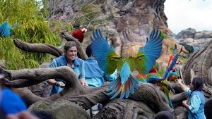 La Magia de Animal Kingdom de Disney