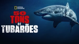La vida secreta de los tiburones