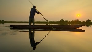 Into the Okavango