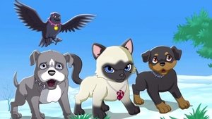 Cuccioli cerca amici - Nel regno di Pocketville