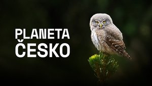 Planeta Česko