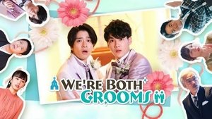 We're Both Grooms