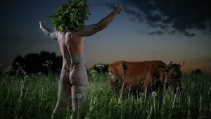Midsummer Madness