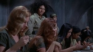 Women in Cages