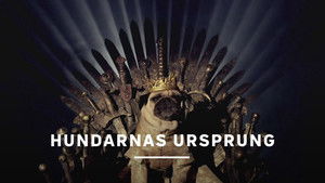 Comment le chien a conquis le monde