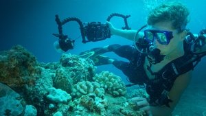 Sea of Hope: America's Underwater Treasures