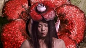 華魂
