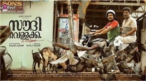 സൗദി വെള്ളക്ക