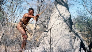 Los dioses deben estar locos